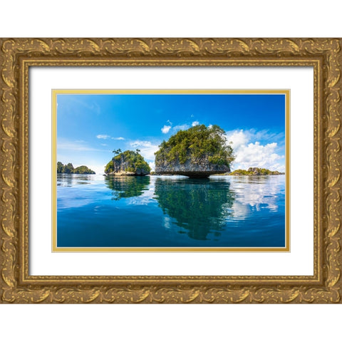 Raja Ampat Islands Gold Ornate Wood Framed Art Print with Double Matting by Gabriel, Barathieu