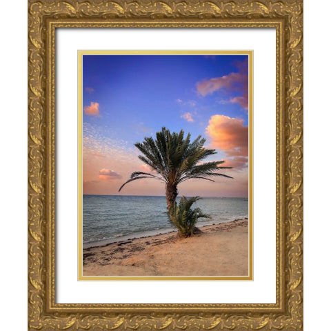 Palm beach Gold Ornate Wood Framed Art Print with Double Matting by G Alfidi, Saleem