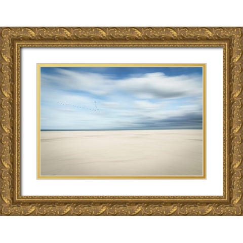 Birds at the seaside Gold Ornate Wood Framed Art Print with Double Matting by Reichelt, Dieter