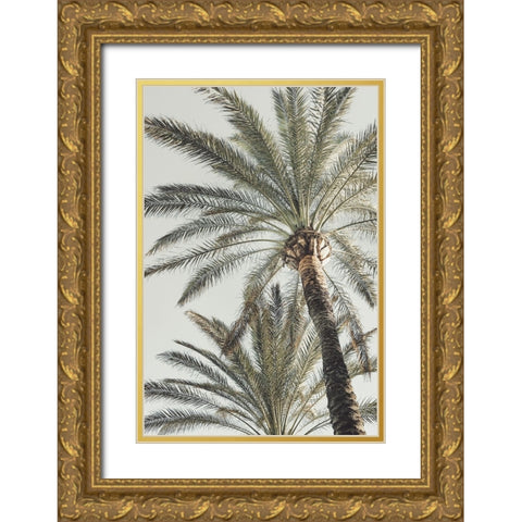 Palm 005 Gold Ornate Wood Framed Art Print with Double Matting by Artographie Studio