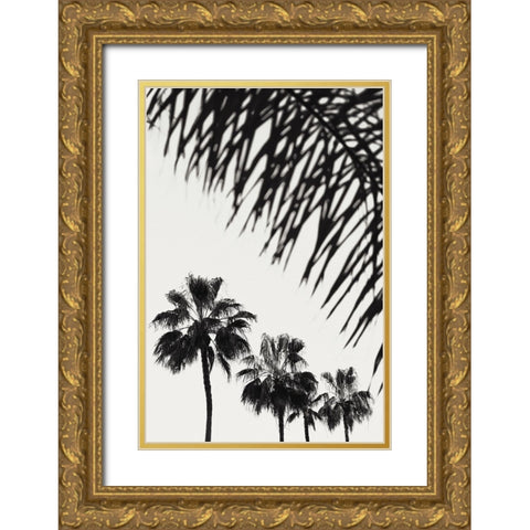 Palm 006 Gold Ornate Wood Framed Art Print with Double Matting by Artographie Studio