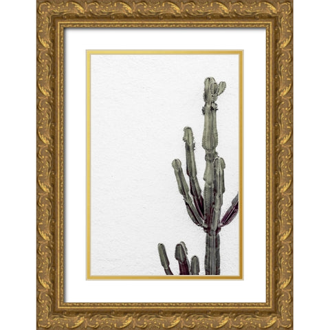 Cactus 003 Gold Ornate Wood Framed Art Print with Double Matting by Artographie Studio