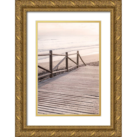 Beach 011 Gold Ornate Wood Framed Art Print with Double Matting by Artographie Studio