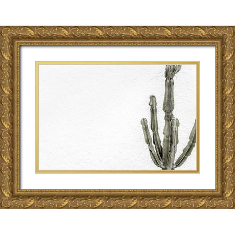 Cactus 004 Gold Ornate Wood Framed Art Print with Double Matting by Artographie Studio
