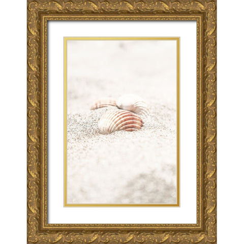 Beach 013 Gold Ornate Wood Framed Art Print with Double Matting by Artographie Studio