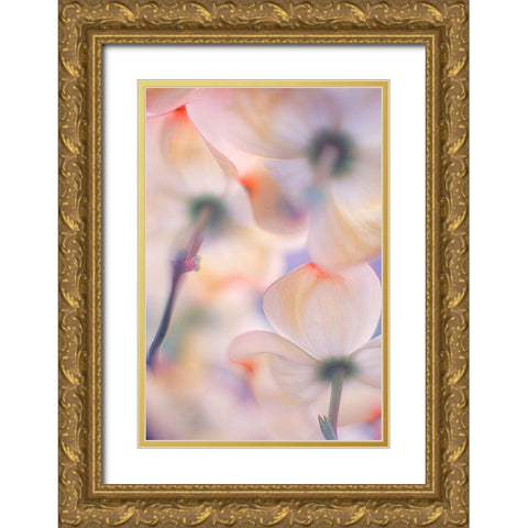 Under the skirts of flowers Gold Ornate Wood Framed Art Print with Double Matting by Casanova, Francois