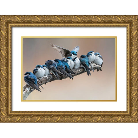 No room No problem I will make myself some room Gold Ornate Wood Framed Art Print with Double Matting by Chang, Cheng