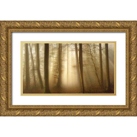 Into the Trees Gold Ornate Wood Framed Art Print with Double Matting by Maier, Norbert