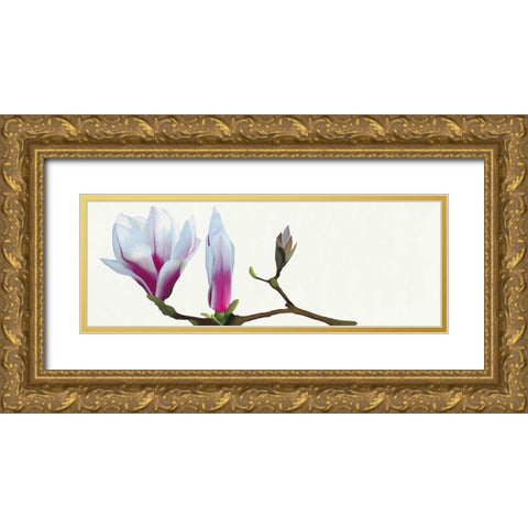 Magnolia solitaire Gold Ornate Wood Framed Art Print with Double Matting by Andrew, Stephanie