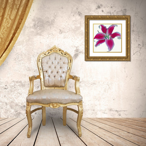Lily Gold Ornate Wood Framed Art Print with Double Matting by Andrew, Stephanie