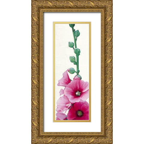 Pink Hollyhock II Gold Ornate Wood Framed Art Print with Double Matting by Andrew, Stephanie