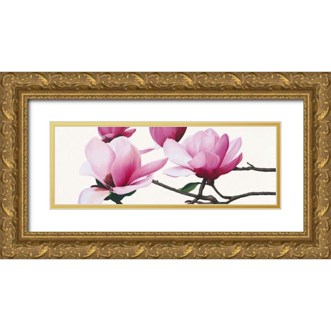 Apollo I (Magnolia) Gold Ornate Wood Framed Art Print with Double Matting by Andrew, Stephanie