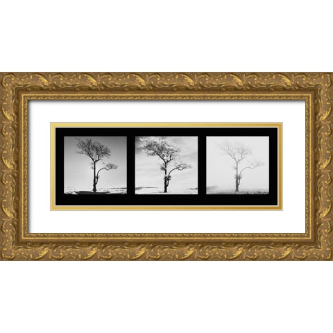 Lone Trees Gold Ornate Wood Framed Art Print with Double Matting by Butcher, Dave