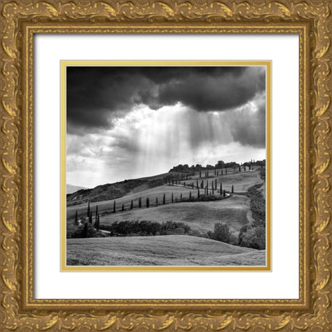 Hills of Tuscany Gold Ornate Wood Framed Art Print with Double Matting by Duczynski, Maciej
