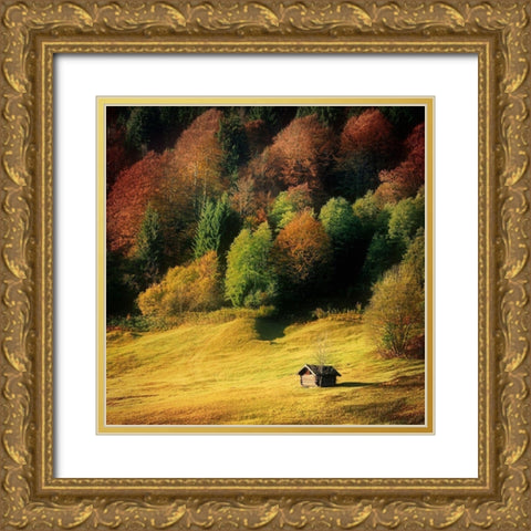 Nature Art Color II Gold Ornate Wood Framed Art Print with Double Matting by Steger, Uwe