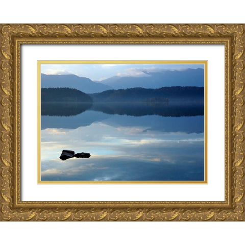 Nature Art Color IV Gold Ornate Wood Framed Art Print with Double Matting by Steger, Uwe