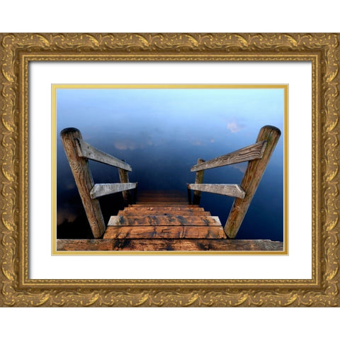 Nature Art Color VI Gold Ornate Wood Framed Art Print with Double Matting by Steger, Uwe