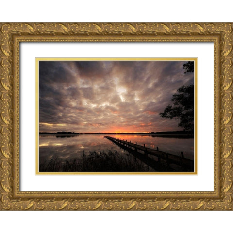 Nature Art Color IX Gold Ornate Wood Framed Art Print with Double Matting by Steger, Uwe