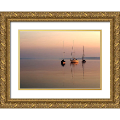 Nature Art Color X Gold Ornate Wood Framed Art Print with Double Matting by Steger, Uwe