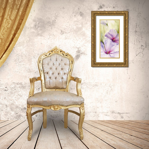 Hibiscus Gold Ornate Wood Framed Art Print with Double Matting by Schmucker, Annette