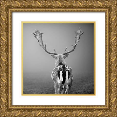 Platzhirsch... Gold Ornate Wood Framed Art Print with Double Matting by Steger, Uwe