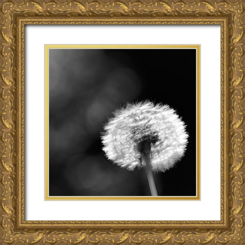 Summerspirit... Gold Ornate Wood Framed Art Print with Double Matting by Steger, Uwe