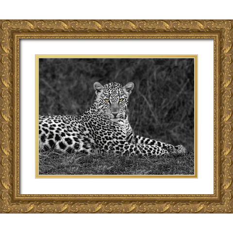 Leopard Portrait Gold Ornate Wood Framed Art Print with Double Matting by Ortega, Xavier