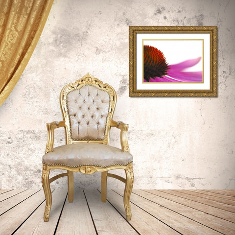 Leftside Gold Ornate Wood Framed Art Print with Double Matting by Steger, Uwe