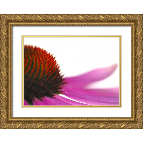 Leftside Gold Ornate Wood Framed Art Print with Double Matting by Steger, Uwe