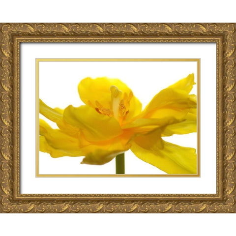Frontside Gold Ornate Wood Framed Art Print with Double Matting by Steger, Uwe
