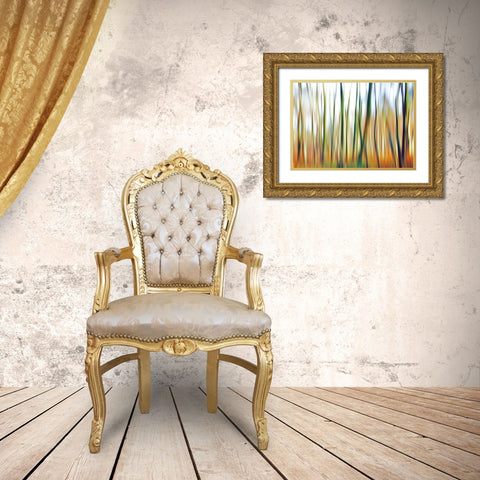 Abstrahierte Welten I Gold Ornate Wood Framed Art Print with Double Matting by Suschaa