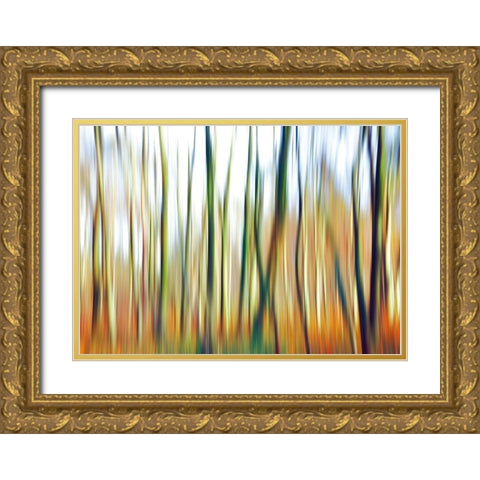 Abstrahierte Welten I Gold Ornate Wood Framed Art Print with Double Matting by Suschaa