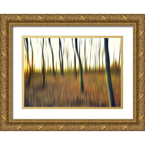 Abstrahierte Welten II Gold Ornate Wood Framed Art Print with Double Matting by Suschaa