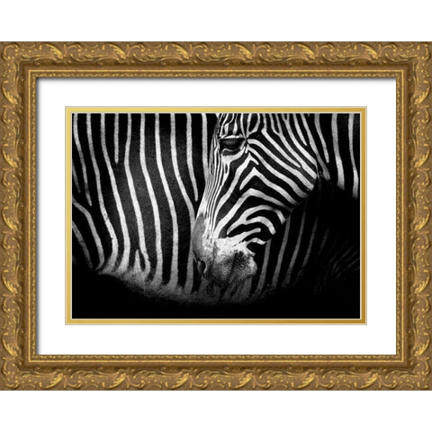 Closer Gold Ornate Wood Framed Art Print with Double Matting by Cano, Marina