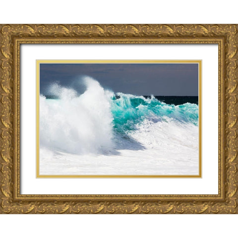 Baja California Gold Ornate Wood Framed Art Print with Double Matting by Westfield, Wim