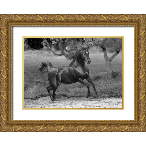 Feeling Free Gold Ornate Wood Framed Art Print with Double Matting by Llovet, Jorge