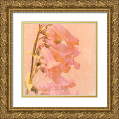 Romantic Foxglove Gold Ornate Wood Framed Art Print with Double Matting by Lambert, Tom