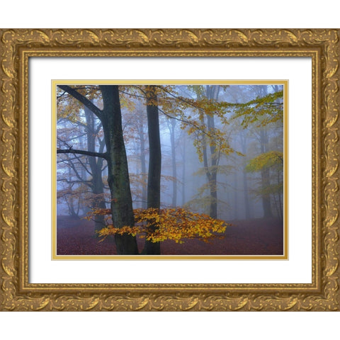 Autumn Forest Gold Ornate Wood Framed Art Print with Double Matting by Strand, Hans