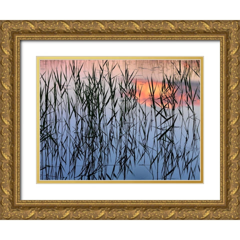 Summer Reed Gold Ornate Wood Framed Art Print with Double Matting by Strand, Hans