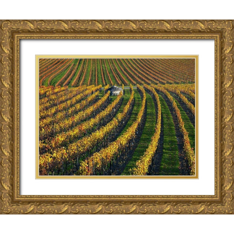 Veineyards of hautes cotes Burgundy Gold Ornate Wood Framed Art Print with Double Matting by Strand, Hans