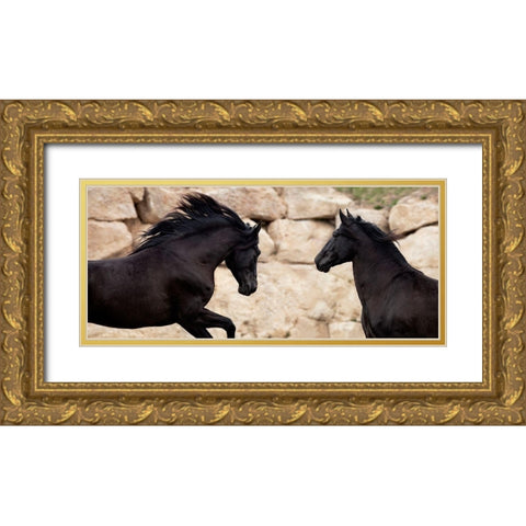 ChallengingÂ  each Other Gold Ornate Wood Framed Art Print with Double Matting by Llovet, Jorge