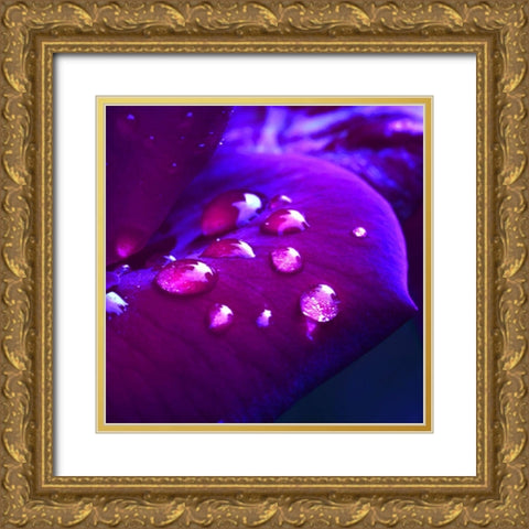 Lust Gold Ornate Wood Framed Art Print with Double Matting by Seidel, Lily Andrea