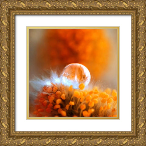 Eternal Flame Gold Ornate Wood Framed Art Print with Double Matting by Seidel, Lily Andrea