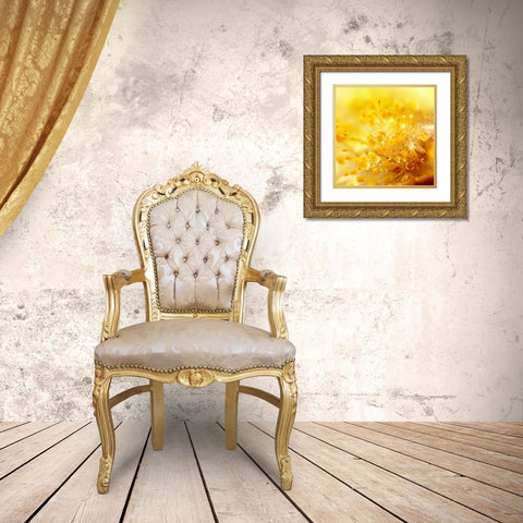 Break Through Gold Ornate Wood Framed Art Print with Double Matting by Seidel, Lily Andrea