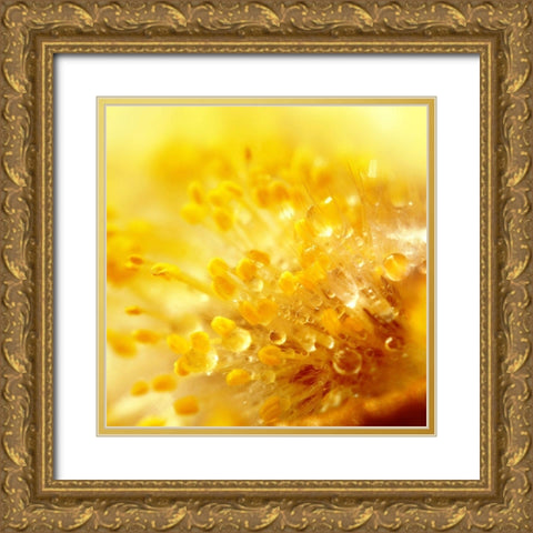 Break Through Gold Ornate Wood Framed Art Print with Double Matting by Seidel, Lily Andrea