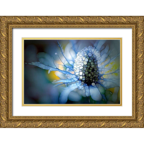 Eisdistel Gold Ornate Wood Framed Art Print with Double Matting by Schmidt, Renate M.