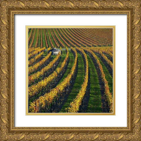 Veineyards of hautes cotes Burgundy Gold Ornate Wood Framed Art Print with Double Matting by Strand, Hans