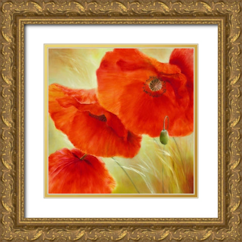 Drei Mal Mohn Gold Ornate Wood Framed Art Print with Double Matting by Schmucker, Annette