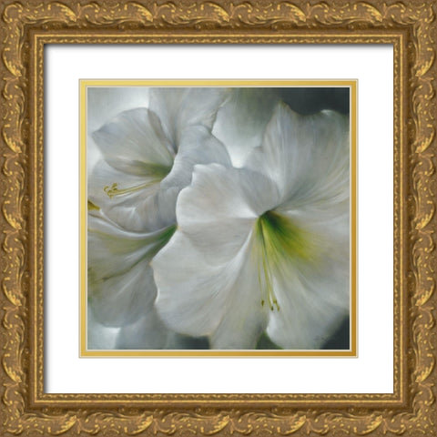 Weisse Amaryllis Gold Ornate Wood Framed Art Print with Double Matting by Schmucker, Annette