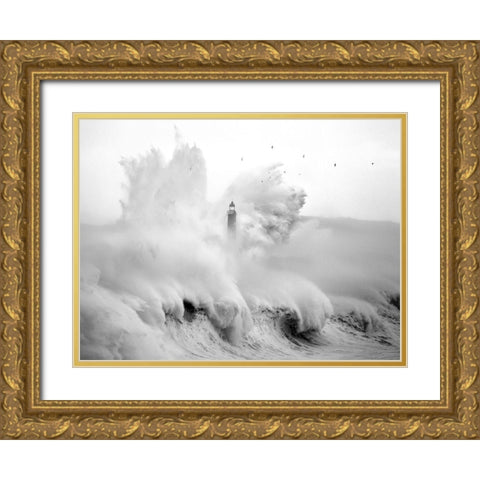 Birds in the Storm Gold Ornate Wood Framed Art Print with Double Matting by Cano, Marina